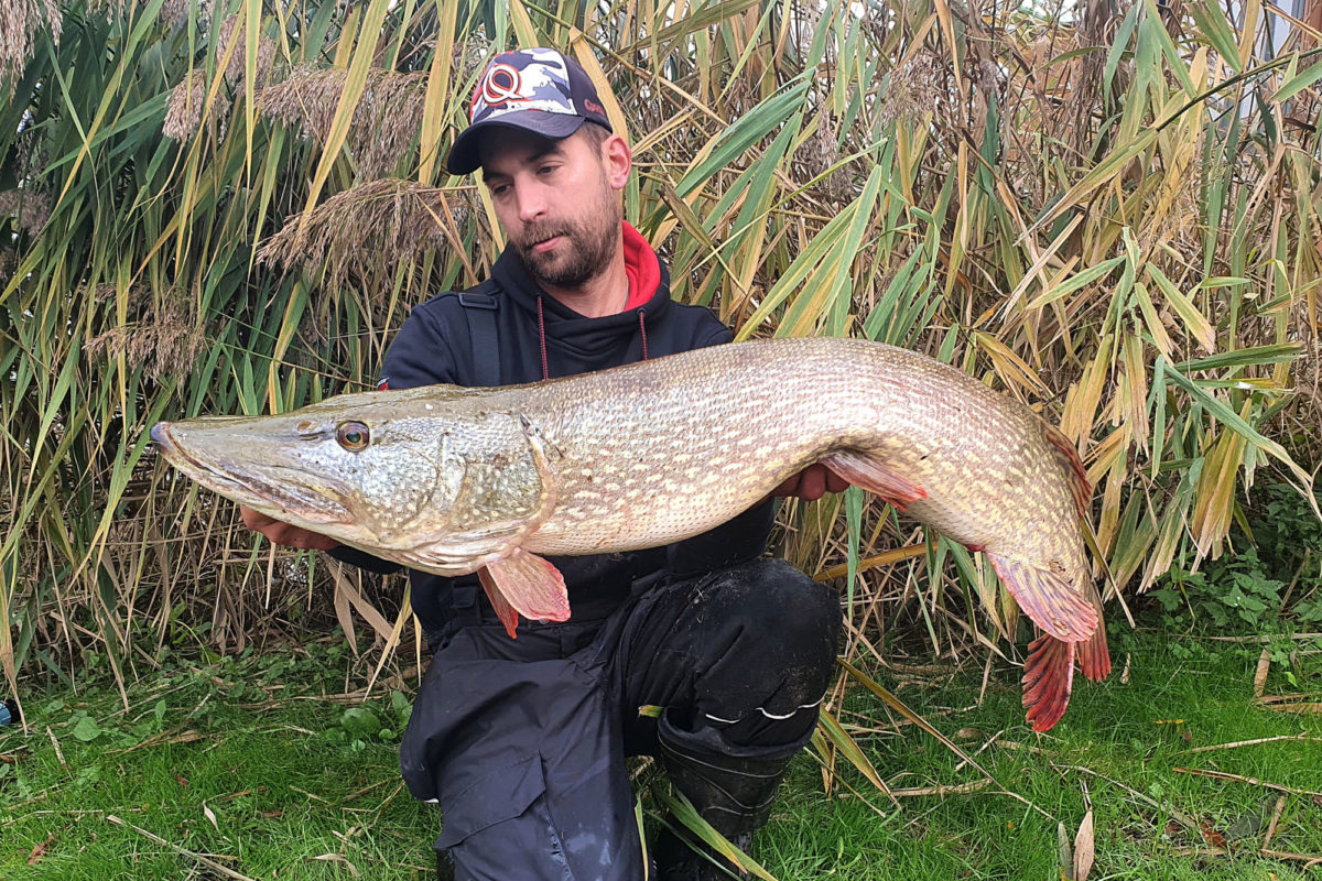 Mit mehreren großen Hechten konnten André Schmidt und seine Teamkollegen von Mr. Pike sich eine gute Platzierung bei den European Pike Masters 2021 sichern. Foto: Zebco Europe