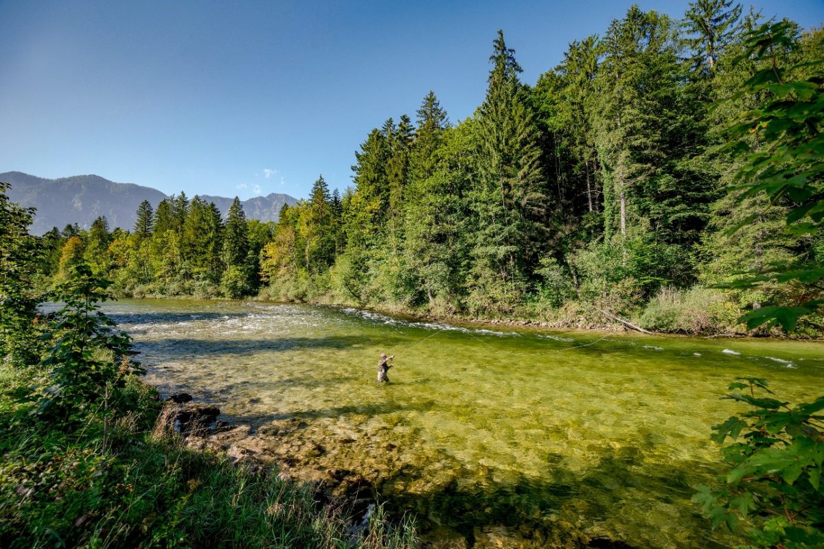 Traumhafte Naturkulisse: Die Goiserer Traun in Österreich. Hier, auf einer der letzten unverbauten Strecken der Traun, konnte ein Wasserkraftwerk verhindert werden. Foto: Traunrauschen