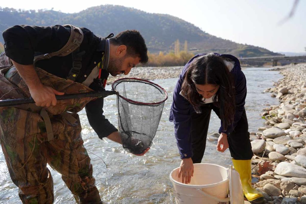 Viele Stunden der Suche waren nötig, um den Fisch zu finden. Einige Forscher bezweifelten sogar, dass er existiert. Foto: Re:wild