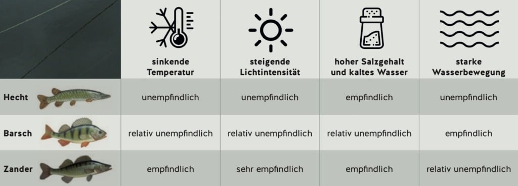 Auf einen Blick: Wie reagieren Hecht, Barsch und Zander auf unterschiedliche Bedingungen? Grafik: Scholz / Blinker