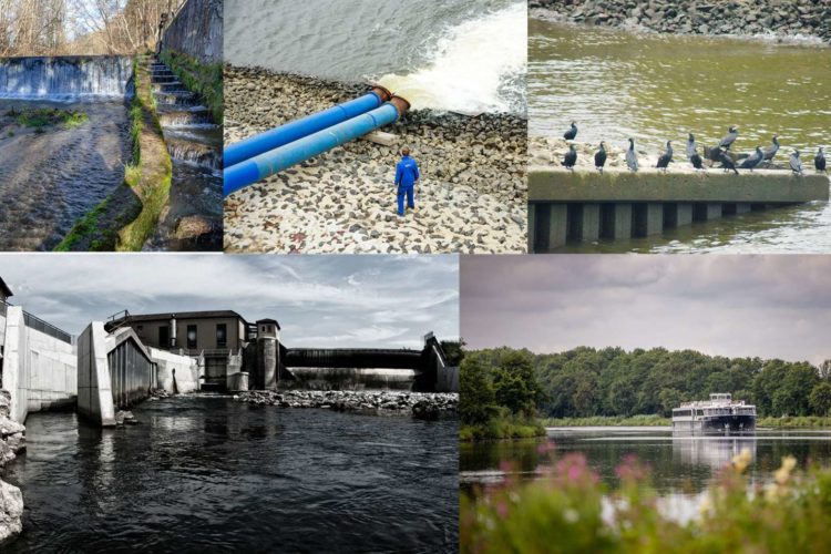 Querverbauungen, Einleitungen, überschützte Arten, Wasserkraft und Schiffbarmachung – Deutschlands Gewässer und Fische geraten immer mehr unter Druck. Bild: DAFV