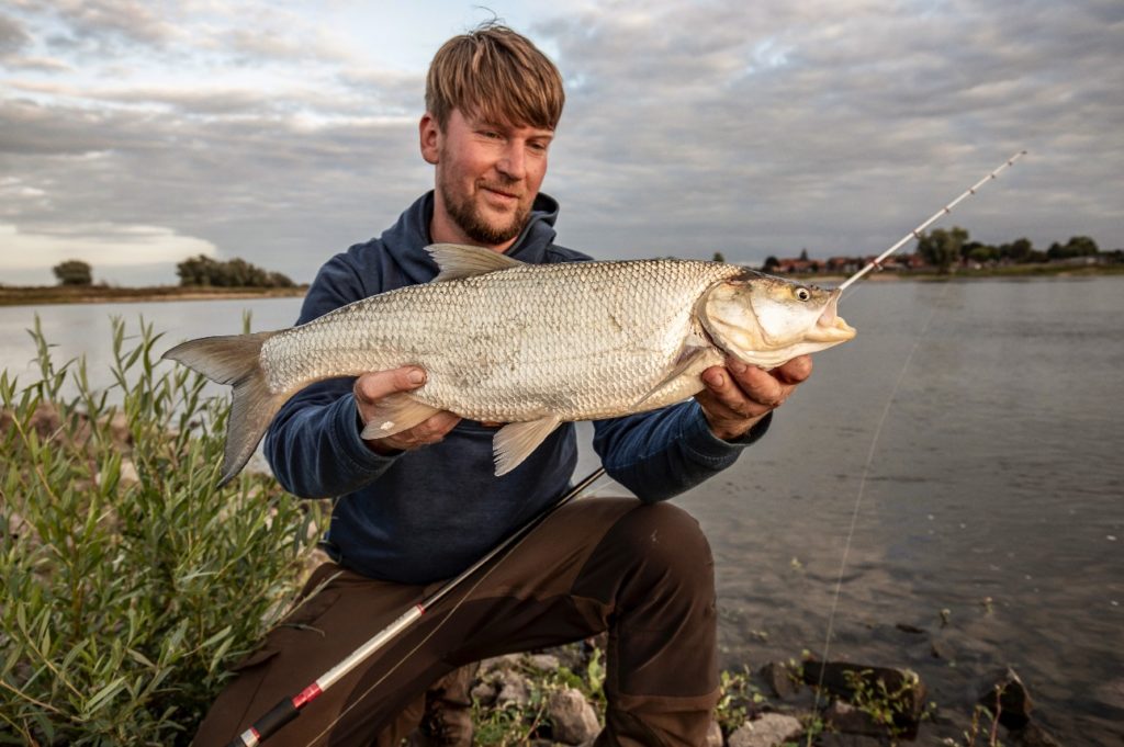 Sebastian ist Angler, Jäger und Hobbykoch aus Leidenschaft. Diesen Rapfen fing er während Dreharbeiten zu Wild auf Fisch in der Elbe. Foto: Sebastian Kapuhs