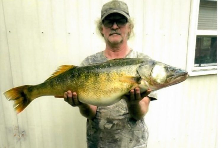 Stolz präsentiert Richard Nicholson seinen Rekord-Walleye. Er hatte erst vor, den Fisch direkt zu filetieren. Foto: Pennsylvania Fish and Boat Commission via Facebook