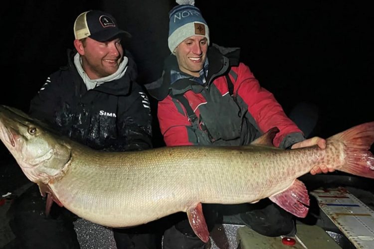 Der riesige Musky aus dem Millie Lacs Lake in Minnesota wog fast 25 Kilogramm. Foto: Minnesota DNR