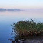 Blick auf den Großen Jasmunder Bodden. Zum Jahreswechsel hatte sich hier ein Fischsterben ereignet. Foto: Wikimedia Commons