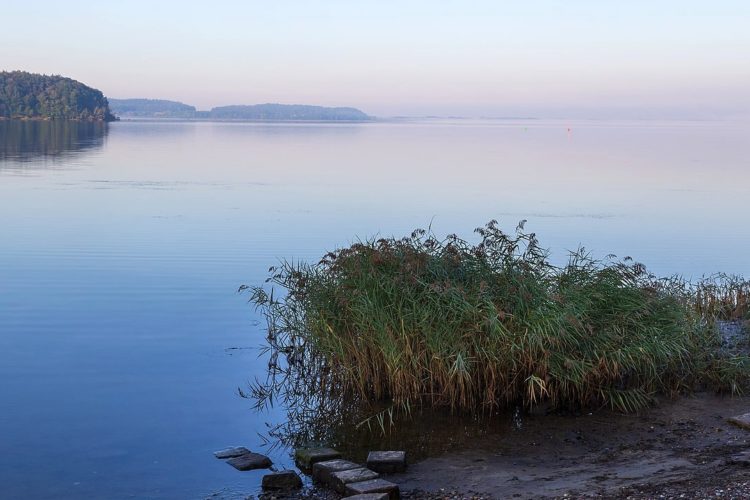 Blick auf den Großen Jasmunder Bodden. Zum Jahreswechsel hatte sich hier ein Fischsterben ereignet. Foto: Wikimedia Commons