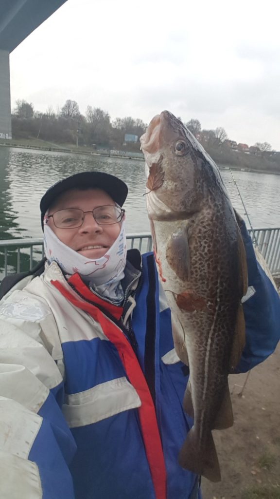 Im Nord-Ostsee-Kanal fing Thomas Rösner seinen 59 Zentimeter langen Dorsch. Der Fisch hatte Appetit auf eine Eismeer-Garnele. Foto: Blinker-Hitparade