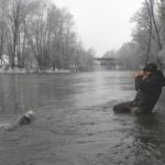 Kurz vor der Landung: Jure Ramovz drillt einen schönen Huchen. Der slowenische Guide führt Angler zu ihrem Traumfisch. Foto: R. Ovensen