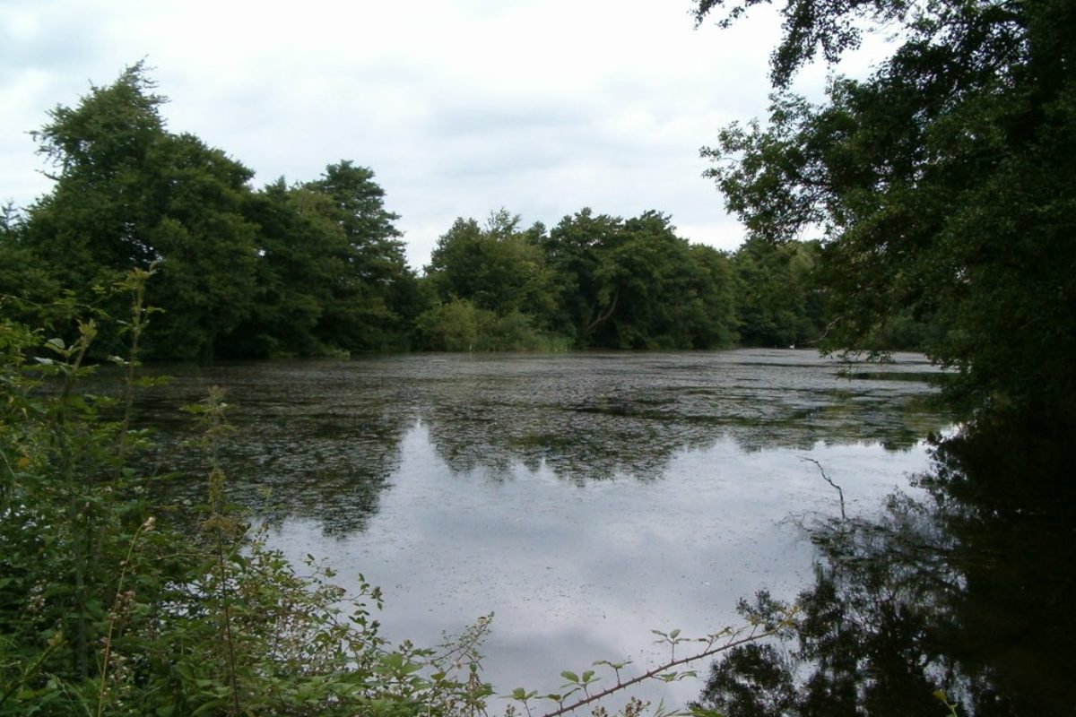 Der Redmire Pool in Großbritannien ist eines der bekanntesten Karpfengewässer der Welt. Foto: Geograph / Chris Wynne