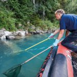 Natürliche Steilufer wie hier am Brienzersee, südlich von Bern, bieten Lebensräume für viele Fischarten. Forscher des Projet Lac fischten diese Bereiche gezielt ab. Foto: EAWAG