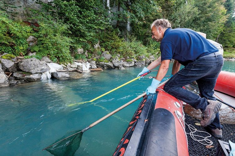 Natürliche Steilufer wie hier am Brienzersee, südlich von Bern, bieten Lebensräume für viele Fischarten. Forscher des Projet Lac fischten diese Bereiche gezielt ab. Foto: EAWAG