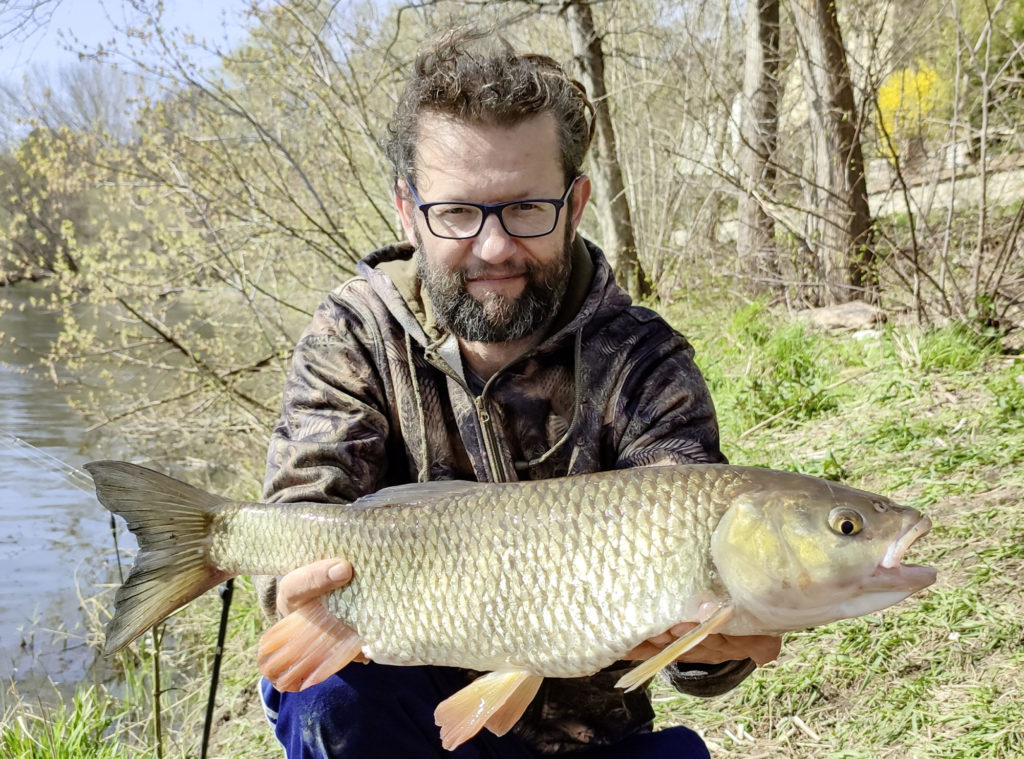 In der Saale bei Bernburg fing Nicky Kalbitz im April einen 63 Zentimeter langen Döbel. Der riesige Fisch ließ sich mit Brot fangen und lieferte einen spannenden Drill.