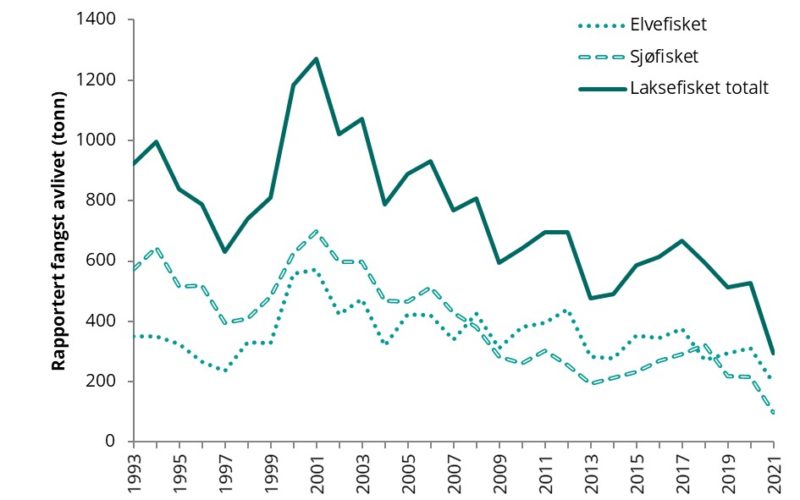 Fangstatistik zur Lachsfischerei in Norwegen. Seit Jahren gehen die Fänge zurück. (Gepunktete Linie: Flüsse; gestrichelt: Seen; durchgezogen: Fänge insgesamt) Bild: Norwegische Umweltbehörde