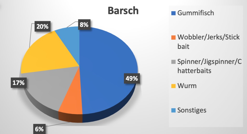 Fast jeder zweite Barsch biss auf einen Gummifisch!