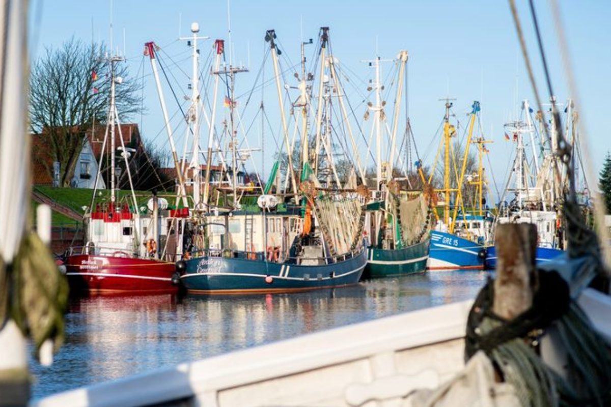 Kutter in Greetsiel: Angesichts der hohen Spritpreise bleiben die meisten Krabbenfischer erst einmal im Hafen. Hauke-Christian Dittrich/dpa