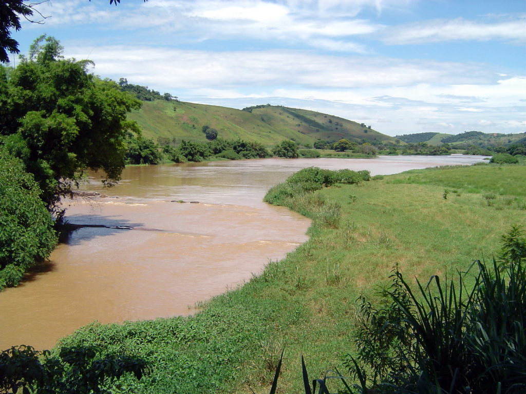 Der Atlantische Regenwald an der Westküste Brasiliens gilt als eine angeschlagensten Ökosysteme in Brasilien. Foto: Flickr/Ruben Porto