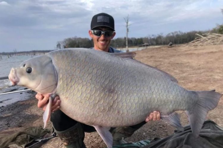 Sieht aus wie ein Karpfen, ist aber ein naher Verwandter: Der Büffelfisch von Austin Anderson wog ca. 27,4 Kilo. Foto: D. Graham (via Facebook)