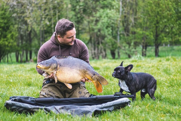 Angler hebt Karpfen aus Tragetasche und schwarzer Hund schnuppert.