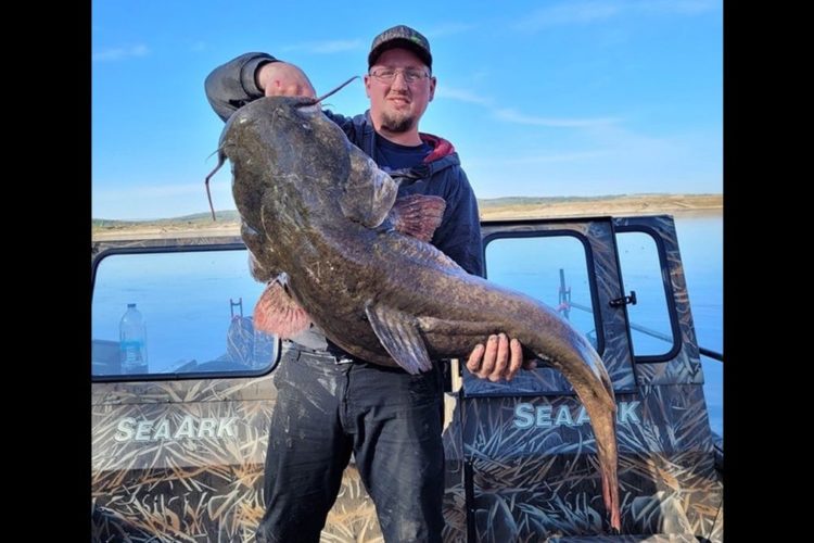 Angler Ethan Evink mit seinem Rekord-Wels aus dem Missouri River (South Dakota).