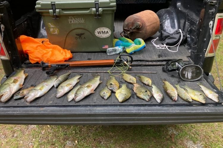 Wilderer in Georgia hatten Fische mit einer Harpune gejagt. Beamte der Umweltschutzbehörde nahmen sie fest. Foto: Georgia DNR