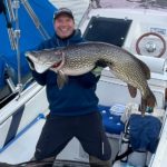 Der Starnberger See in Bayern ist ein bekanntes Gewässer für große Hechte, doch dieser 1,30 Meter lange Fisch von Frank Stachauer ist selbst hier eine Ausnahme. Foto: F. Stachauer