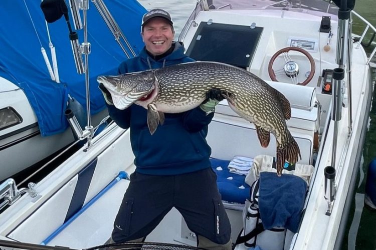 Der Starnberger See in Bayern ist ein bekanntes Gewässer für große Hechte, doch dieser 1,30 Meter lange Fisch von Frank Stachauer ist selbst hier eine Ausnahme. Foto: F. Stachauer