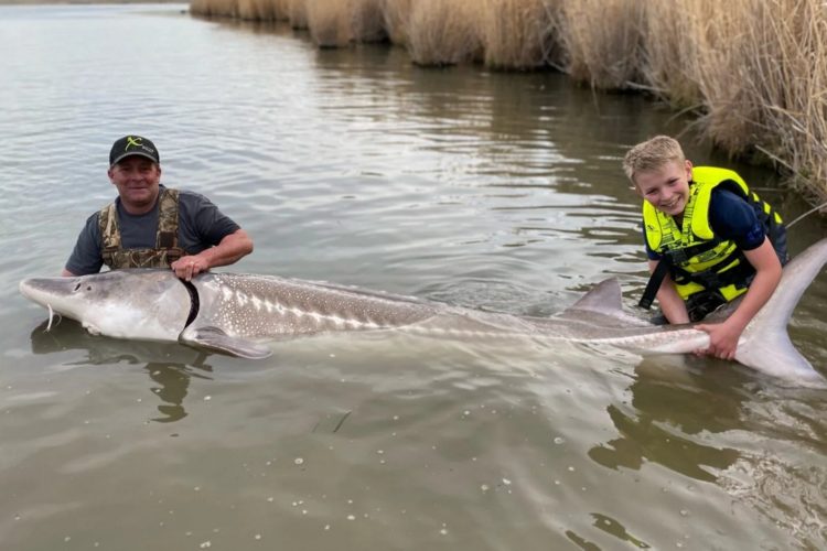 Tyler Grimshaw fing bereits mit 12 Jahren den Fisch seines Lebens – bis jetzt. Der Stör hätte fast den Längenrekord in Idaho gebrochen. Foto: Joe Weisner (Instagram)