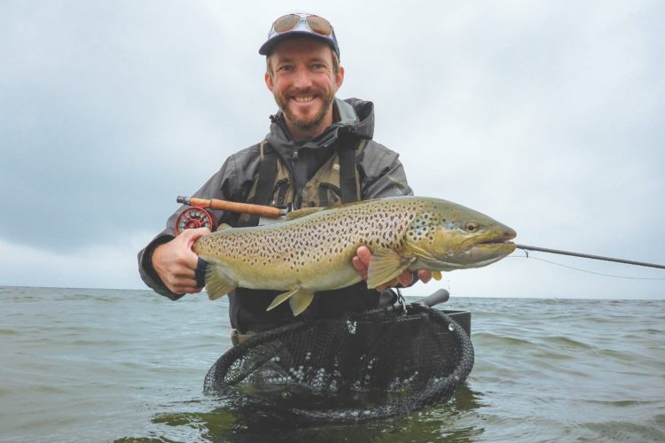 Eine richtig braune Meerforelle aus der Ostsee. Hätte der Fisch noch rote Punkte, sähe er wie eine Bachforelle aus.