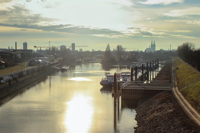 Das Klima ist im Wandel, ganz offensichtlich. Heiße Sommer, Niedrigwasser – aber auch im Winter bleibt es deutlich milder als zuvor. Für wärmeliebenden Karpfen bedeutet das: bessere Lebensbedingungen.Foto: C. Mühl.