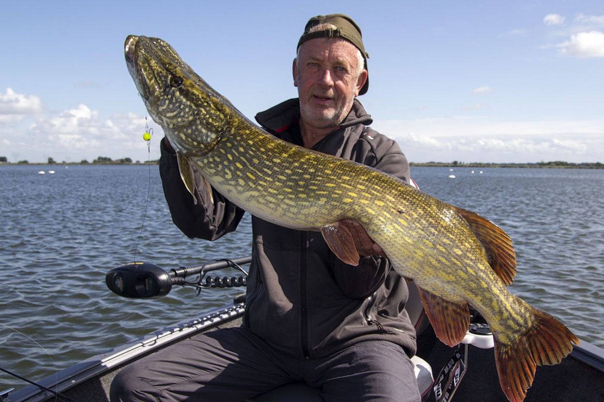 Bertus Rozemeijer ist in den Niederlanden als Raubfisch-Experte und Guide bekannt. Nun wurde der Angler in den Stand eines Ritters erhoben. Foto: B. Rozemeijer