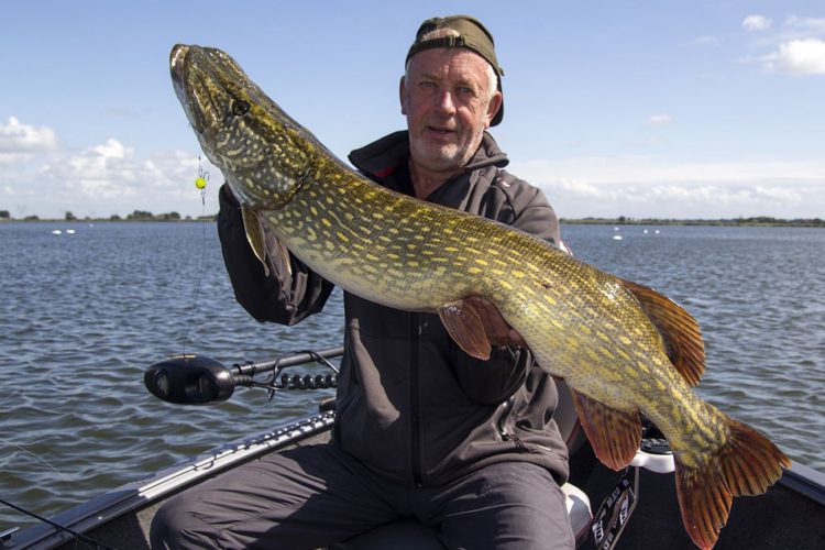 Bertus Rozemeijer ist in den Niederlanden als Raubfisch-Experte und Guide bekannt. Nun wurde der Angler in den Stand eines Ritters erhoben. Foto: B. Rozemeijer