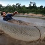 Der Texaner Payton Moore fing einen 2,40 Meter langen Alligatorhecht. Das beeindruckende Erlebnis filmte er mit der Kamera. Foto: P. Moore (Screenshot)