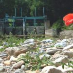 Zu spät! Durch Trockenheit kann in diesem Fluss kein Fisch mehr leben. Deshalb müssen vor einer Dürreperiode Maßnahmen ergriffen werden, die den Wasserstand auf einem erträglichen Minimum halten. Foto: Archiv