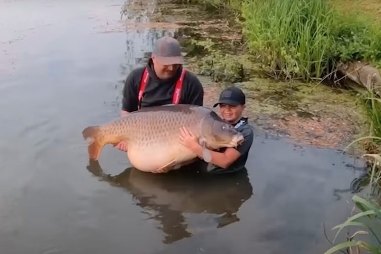 Zusammen mit seinem Vater Stuart fing Callum Pettit einen Karpfen von fast 44 Kilo – mit dem er einen Weltrekord aufstellte.