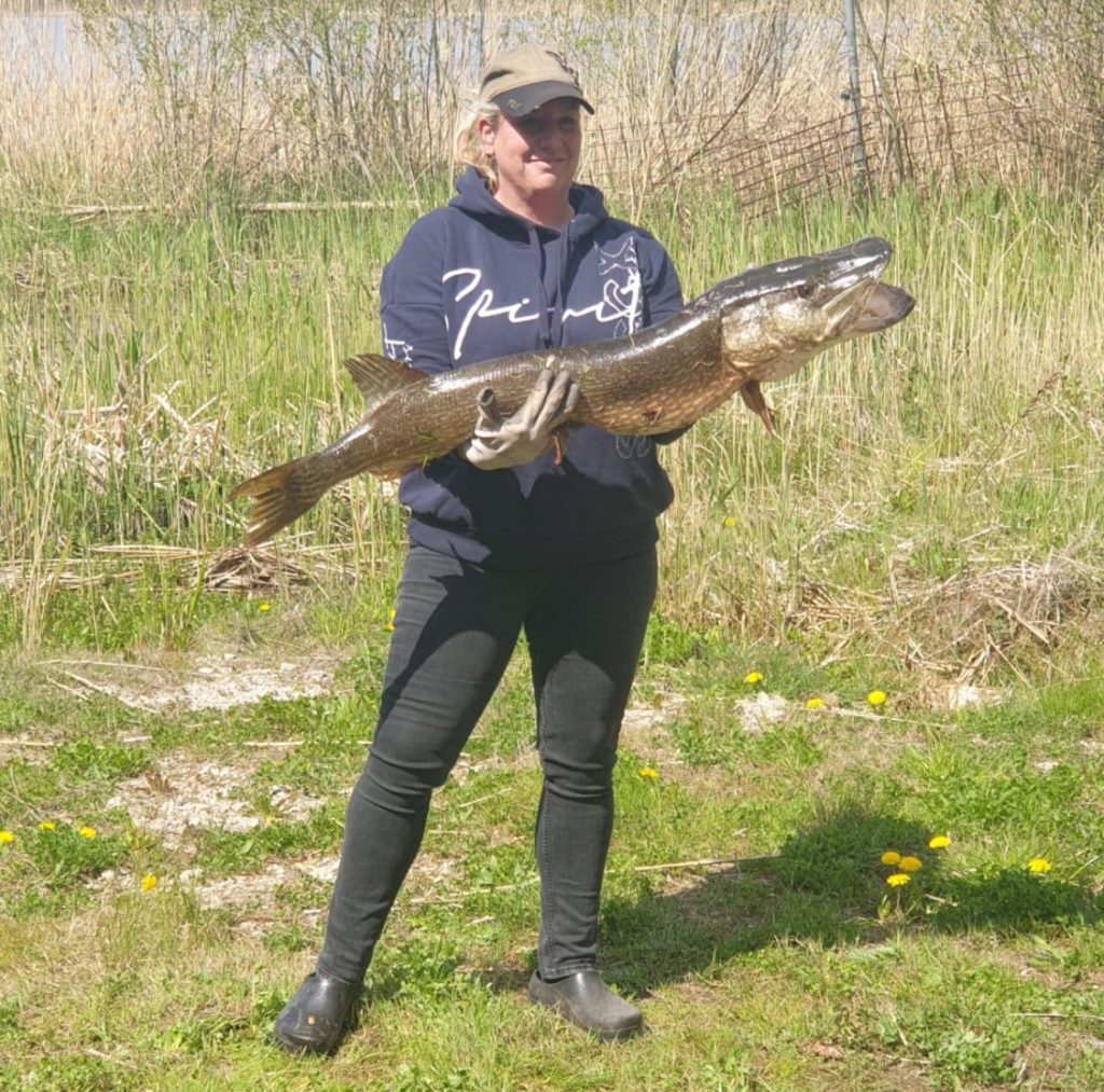 Anne Buschmeier fischte im Parumer See mit einem Kunstköder. Dieser Hecht konnte einfach nicht Nein sagen … Foto: Blinker / A. Buschmeier