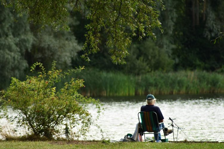 Ob jung oder alt, spielt beim Angeln keine Rolle. Das beweist ein 95 Jahre alter Angler aus England, der den größten Wels seines Lebens fing. (Symbolbild) Foto: DavidCardinez / Pixabay