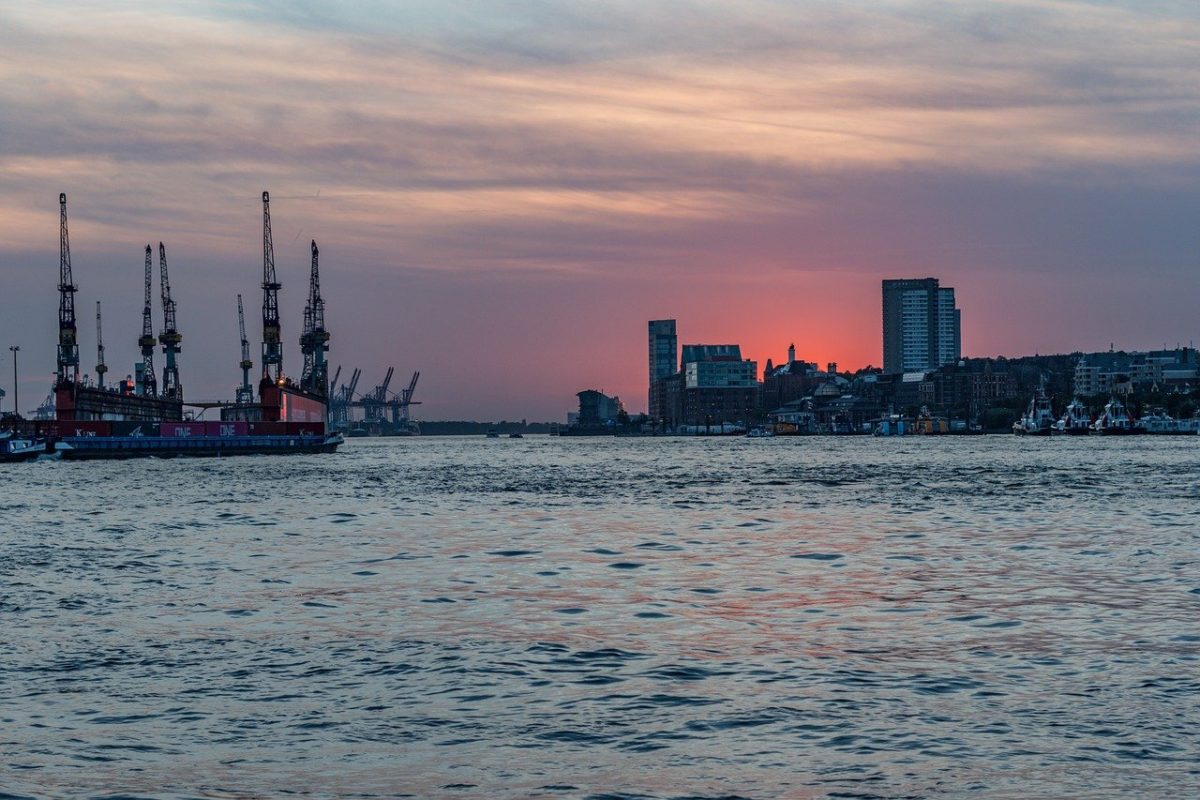 In diesem Sommer wird Hamburg von einem großen Fischsterben getroffen – schlimmer als in den Jahren zuvor. Foto: Pixabay / Karsten Bergmann