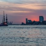 In diesem Sommer wird Hamburg von einem großen Fischsterben getroffen – schlimmer als in den Jahren zuvor. Foto: Pixabay / Karsten Bergmann