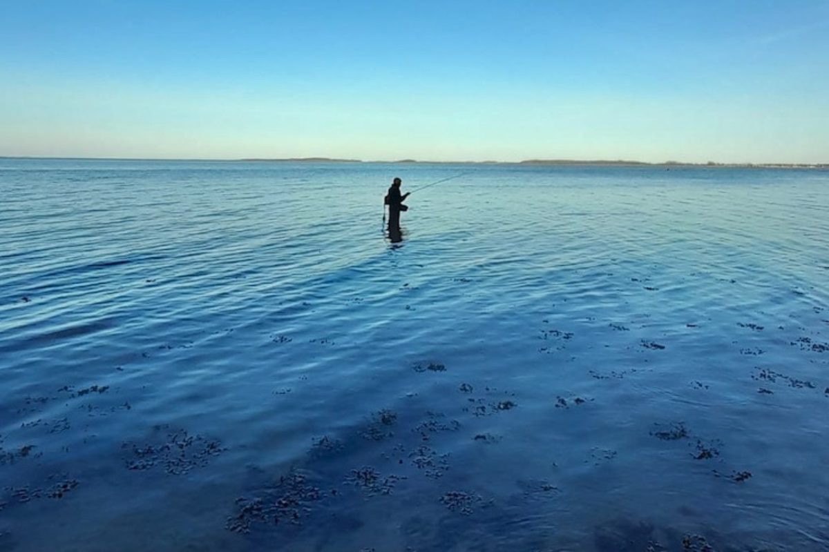 An diesem Traumtag herrschte eine wunderbare Stimmung am Wasser. Das und gute Fänge zusammen ergeben einen für mich perfekten Angeltag an der Küste. Wobei der Fisch natürlich im Mittelpunkt steht … Foto: privat