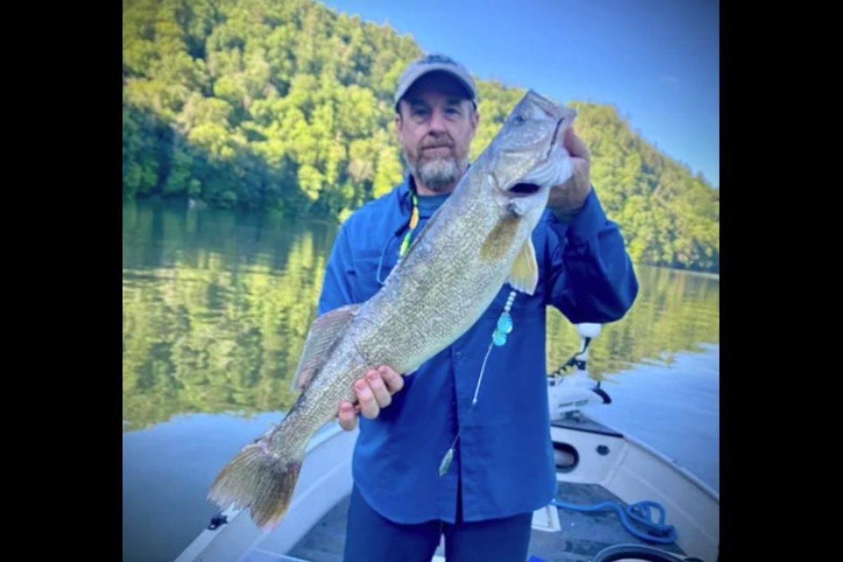 Chris Edlund fing diesen Rekord-Walleye – doch dem Fisch fehlten trotzdem einige Gramm, um den bisherigen Rekordhalter von Platz 1 zu verdrängen. Foto: South Carolina DNR