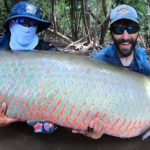 Der Arapaima ist einer der größten Raubfische in den Gewässern Südamerikas. Foto: Ty Kleeb (via YouTube)