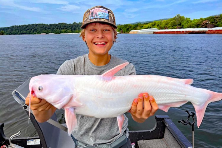 Angelguide Richard Simms hielt den weißen Wels seines 15-jährigen Gastes für einen Albino. Wissenschaftler waren sich da nicht so sicher. Foto: Scenic City Fishing Charters