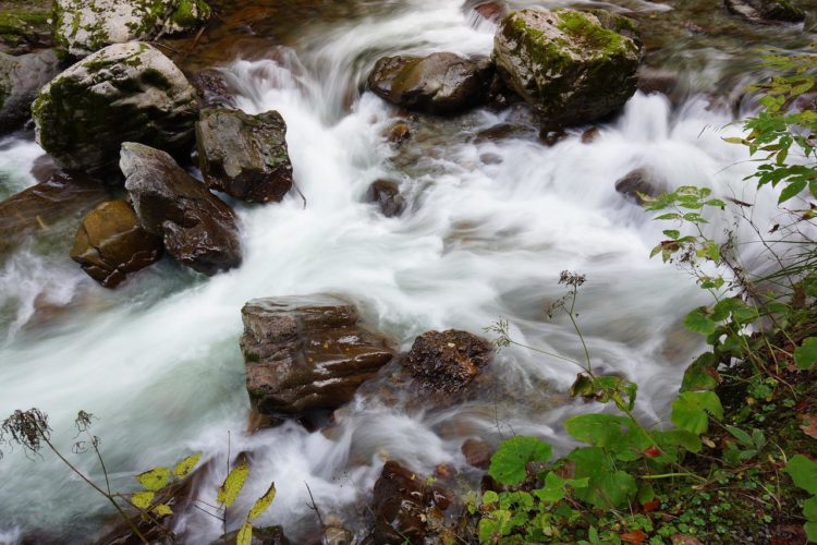 Naturbelassene Flussläufe – in Deutschland ohnehin ein seltener Anblick. Durch das Osterpaket droht nun der Ausbau von kleiner Wasserkraft, was für die Artenvielfalt vielerorts das Ende bedeuten könnte. (Symbolbild) Foto: Pixabay / Glavo