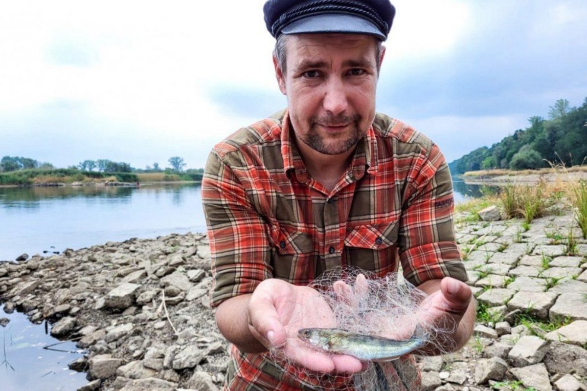 Nach dem Fischsterben in der Oder fanden Forscher und Angler nun mehrere gesunde Fischarten. Foto: LAVB