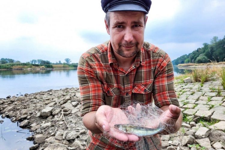 Nach dem Fischsterben in der Oder fanden Forscher und Angler nun mehrere gesunde Fischarten. Foto: LAVB