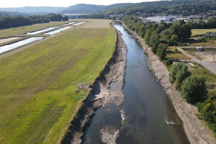 Die Ruhr ist fast leergelaufen. Foto: Fischereiverband NRW / Robin Illner