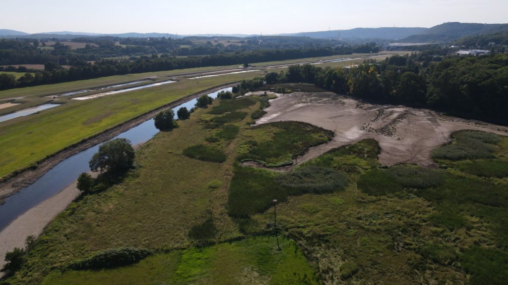 Für Fische überlebenswichtig: Die Feuchtgebiete der Ruhr liegen ohne Wasser da. Foto: Fischereiverband NRW / Robin Illner