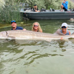 Der neue Rekordstör in Idaho stammt aus einem Stausee. Er wurde wieder zurückgesetzt. Foto: Idaho Department of Fish and Game