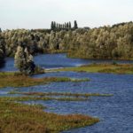 Die Ijssel führt normalerweise große Wassermassen. In warmen Monaten sind Teile des Flusses jedoch akut durch Trockenheit bedroht. Foto: Pixabay