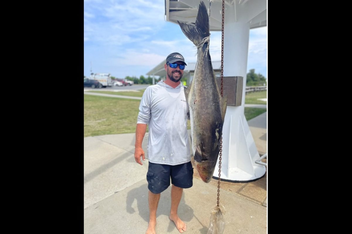 Scott Brooks präsentiert seinen 1,60 Meter langen Cobia, mit dem er einen neuen Staatsrekord in Delaware aufstellte. Foto: A. Farach